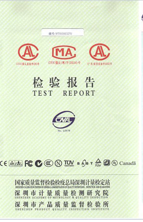 Test Report