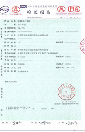 Test Report